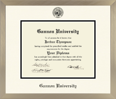 Gannon University diploma frame - Icon in Light Champagne