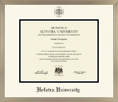 Hofstra University diploma frame - Icon in Light Champagne