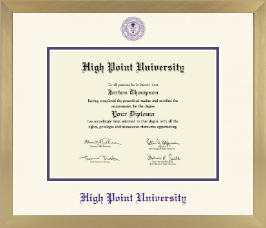 High Point University diploma frame - Icon in Chardonnay