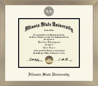 Illinois State University diploma frame - Icon in Light Champagne