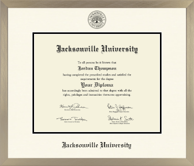 Jacksonville University diploma frame - Icon in Light Champagne