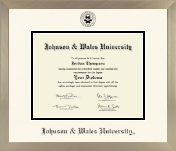 Johnson & Wales University in Rhode Island diploma frame - Icon in Light Champagne