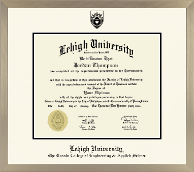 Lehigh University diploma frame - Icon in Light Champagne