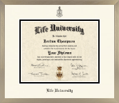 Life University diploma frame - Icon in Light Champagne
