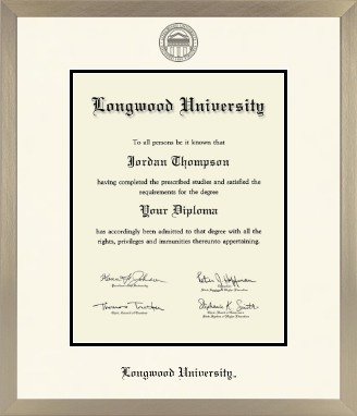 Longwood University diploma frame - Icon in Light Champagne