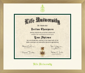 Life University diploma frame - Icon in Chardonnay
