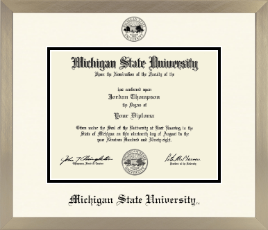 Michigan State University diploma frame - Icon in Light Champagne