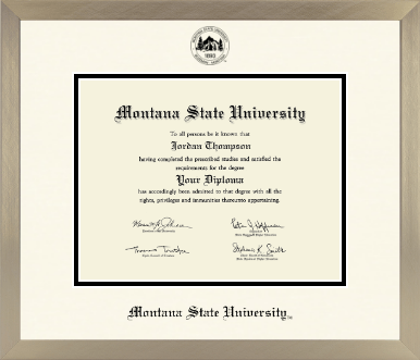 Montana State University Bozeman diploma frame - Icon in Light Champagne