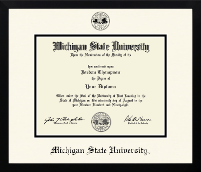 Michigan State University diploma frame - Icon in Gotham