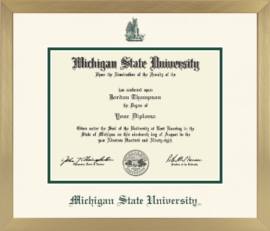 Michigan State University diploma frame - Icon in Chardonnay