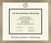 New Jersey Institute of Technology diploma frame - Icon in Light Champagne