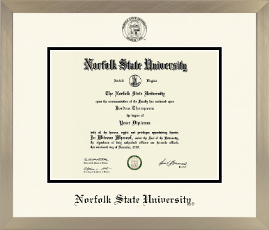 Norfolk State University diploma frame - Icon in Light Champagne