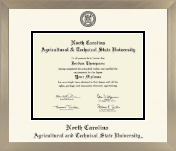 North Carolina A&T State University diploma frame - Icon in Light Champagne