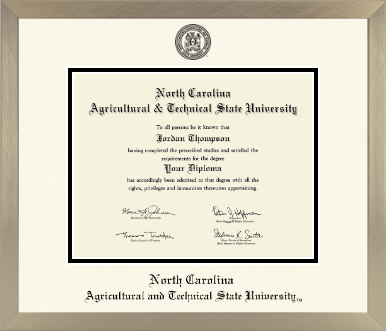 North Carolina A&T State University diploma frame - Icon in Light Champagne