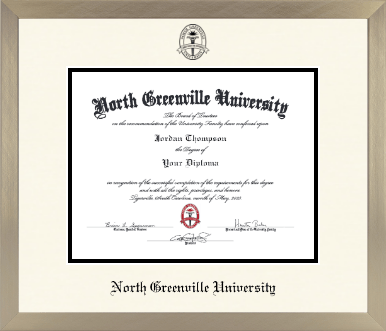 North Greenville University diploma frame - Icon in Light Champagne