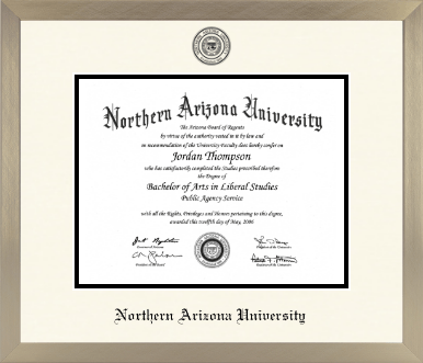 Northern Arizona University diploma frame - Icon in Light Champagne