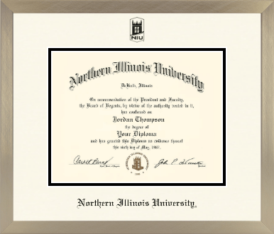 Northern Illinois University diploma frame - Icon in Light Champagne