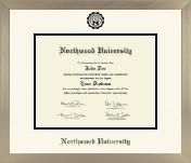 Northwood University in Michigan diploma frame - Icon in Light Champagne