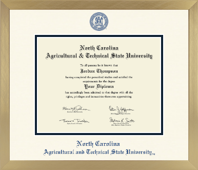 North Carolina A&T State University diploma frame - Icon in Chardonnay