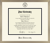 Pace University diploma frame - Icon in Light Champagne