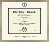 Palmer College of Chiropractic Florida diploma frame - Icon in Light Champagne