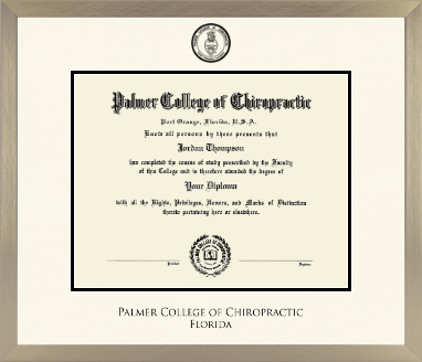 Palmer College of Chiropractic Florida diploma frame - Icon in Light Champagne