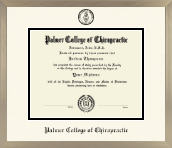 Palmer College of Chiropractic Iowa diploma frame - Icon in Light Champagne