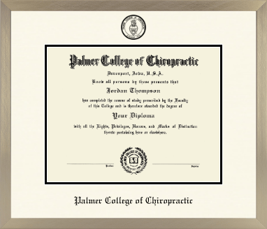 Palmer College of Chiropractic Iowa diploma frame - Icon in Light Champagne