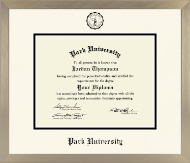 Park University diploma frame - Icon in Light Champagne