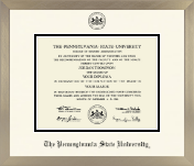 Pennsylvania State University diploma frame - Icon in Light Champagne