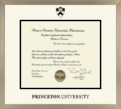 Princeton University diploma frame - Icon in Light Champagne