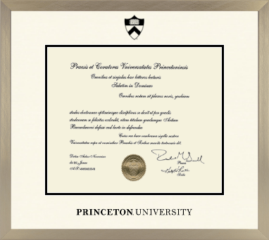 Princeton University diploma frame - Icon in Light Champagne