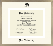 Post University diploma frame - Icon in Light Champagne