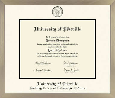 University of Pikeville diploma frame - Icon in Light Champagne