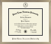 Point Loma Nazarene University diploma frame - Icon in Light Champagne