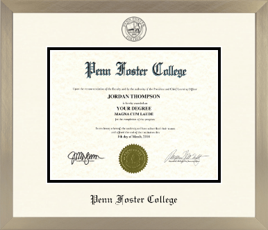 Penn Foster College diploma frame - Icon in Light Champagne