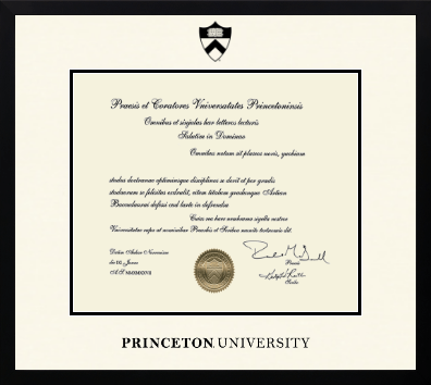 Princeton University diploma frame - Icon in Gotham