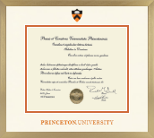 Princeton University diploma frame - Icon in Chardonnay