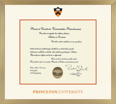 Princeton University diploma frame - Icon in Chardonnay