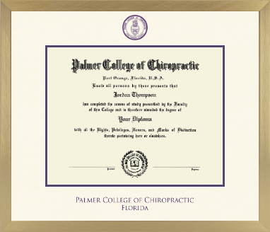 Palmer College of Chiropractic Florida diploma frame - Icon in Chardonnay