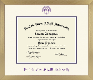 Prairie View A&M University diploma frame - Icon in Chardonnay