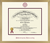 Philadelphia University diploma frame - Icon in Chardonnay