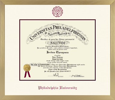 Philadelphia University diploma frame - Icon in Chardonnay