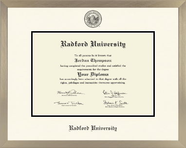 Radford University diploma frame - Icon in Light Champagne