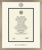 Rice University diploma frame - Icon in Light Champagne