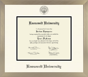 Roosevelt University diploma frame - Icon in Light Champagne