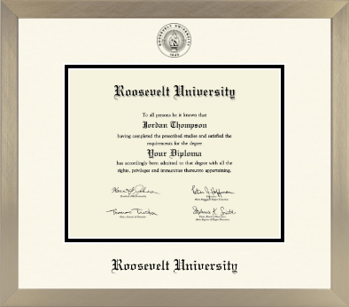 Roosevelt University diploma frame - Icon in Light Champagne