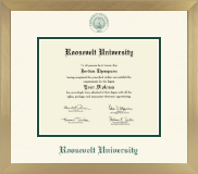 Roosevelt University diploma frame - Icon in Chardonnay