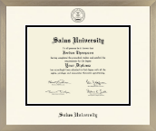 Salus University diploma frame - Icon in Light Champagne