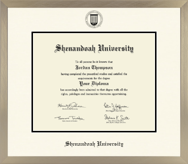 Shenandoah University diploma frame - Icon in Light Champagne